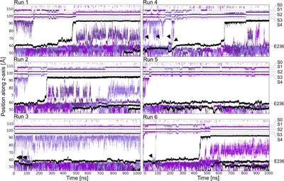 Computational Insights Into Voltage Dependence of Polyamine Block in a Strong Inwardly Rectifying K+ Channel